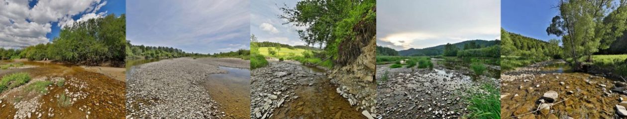 Rzeki małopolskie – czysta Natura 2000